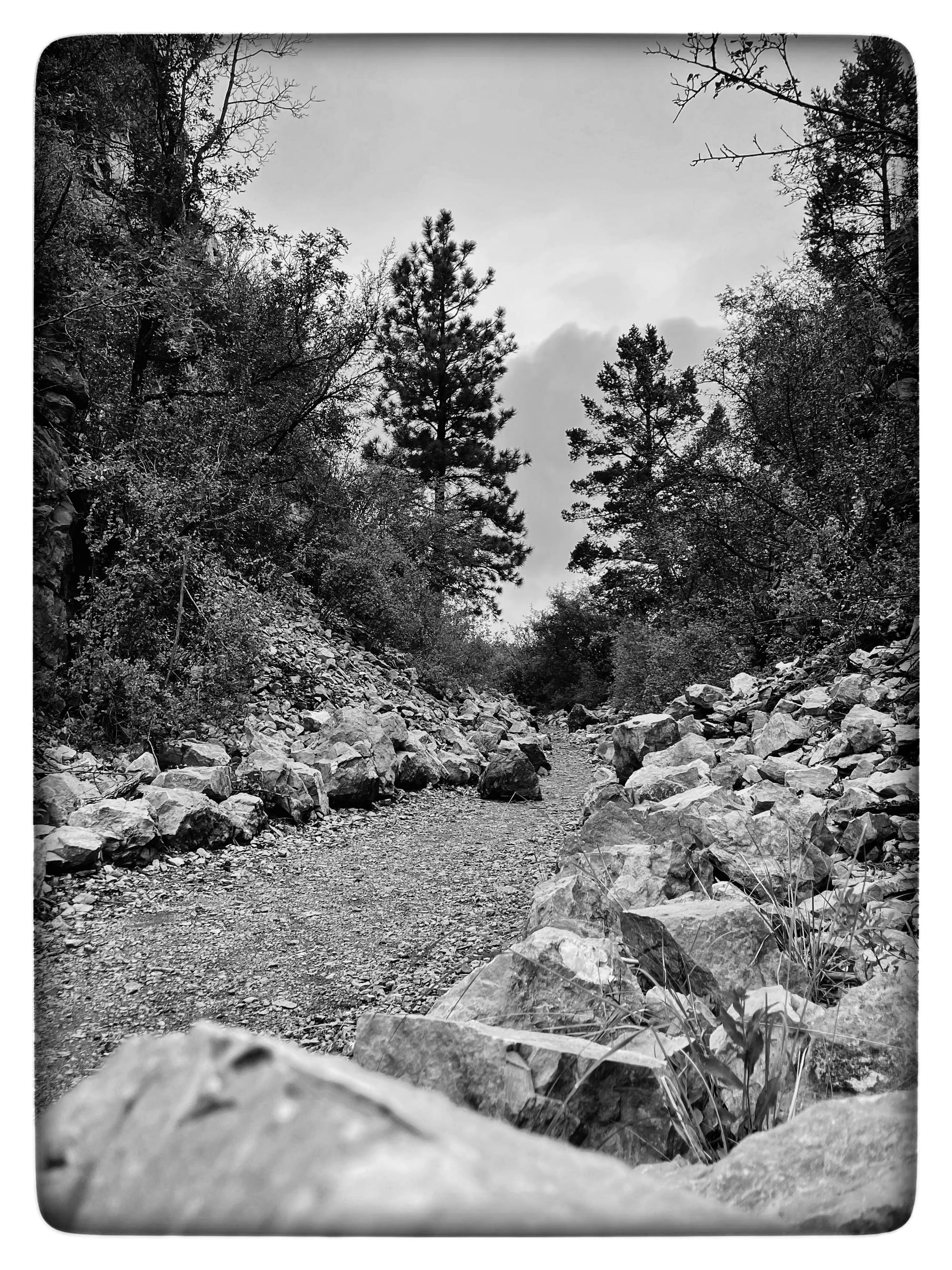 Black and white photo of a bend on a mountain forest trail lined with boulders and a cloudy sky.